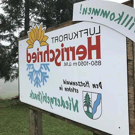 Alpine In Apartament *