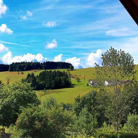 Alpine In Apartament *